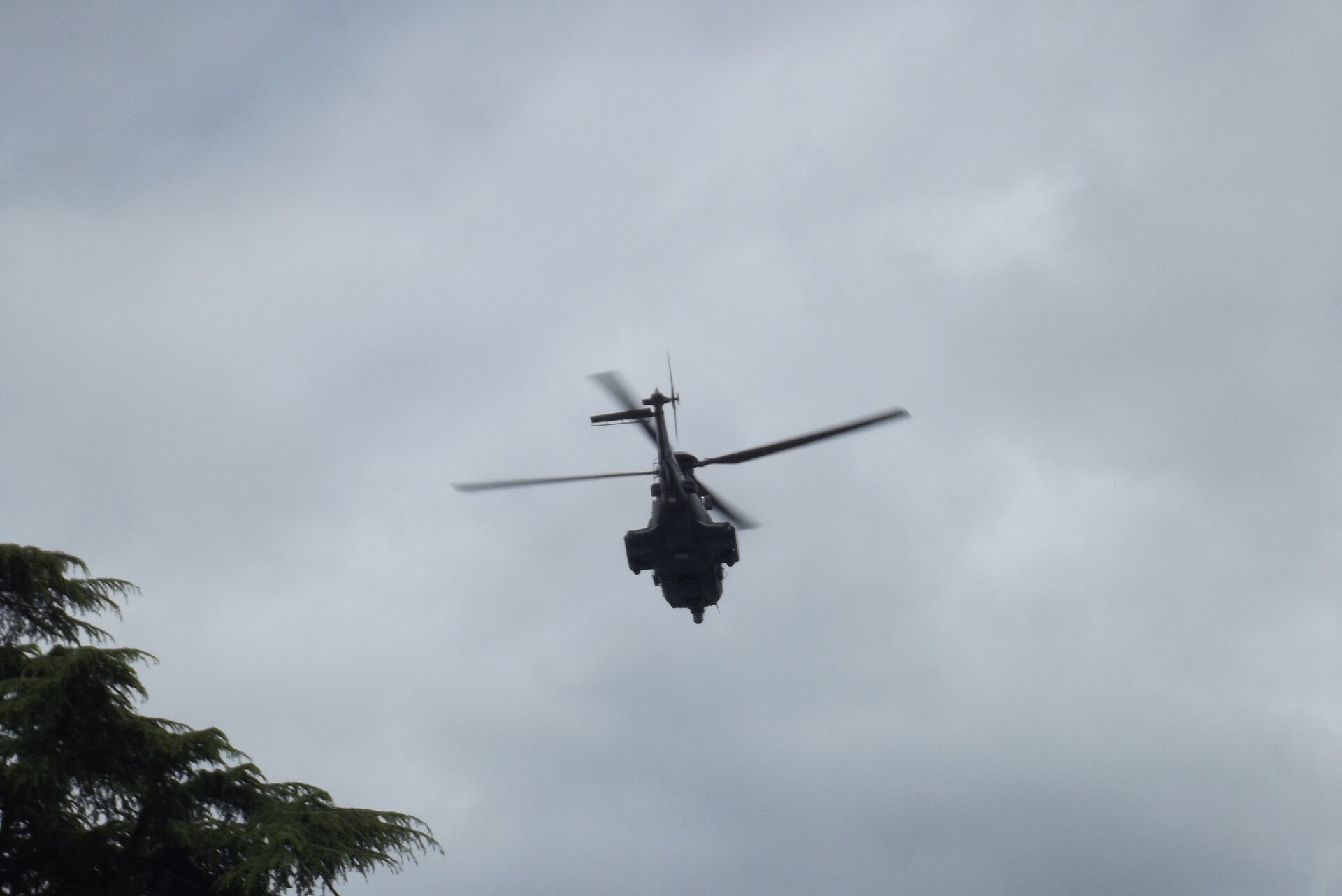 Airbus H225M