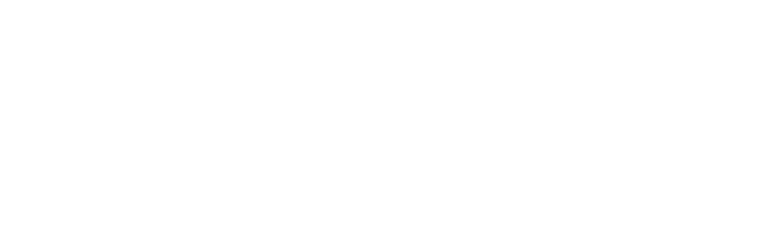 BDLI